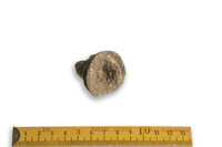 F 08876 01
<br/>
<br/>
<em></em>